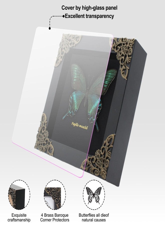Agaoece Butterfly Framed Decoration Handmade Taxidermy Butterfly Shadow Box Collection Framed Butterfly for Oddities and Curiosities Gifts for Victorian Dark Academia Goth Wall Decor - Image 3